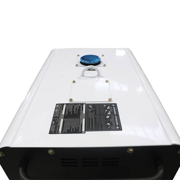 Hyundai 6kW Multi-Phase single and three phase Long Run Standby Diesel Generator DHY8000SELR-T