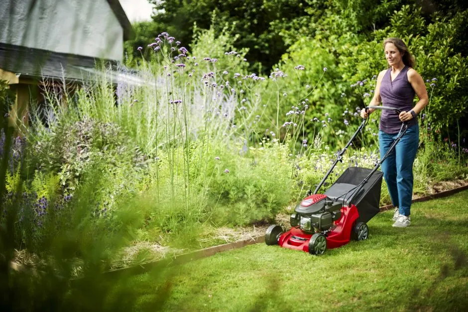 MOUNTFIELD SP41 Petrol Lawnmower