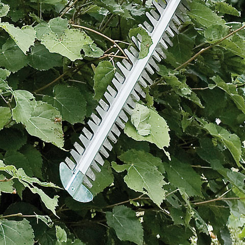 STIHL HSA 100 Cordless Hedge Trimmer 60 cm / 24" Cutting Blade