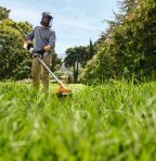STIHL FSA 70 R Cordless Brushcutter