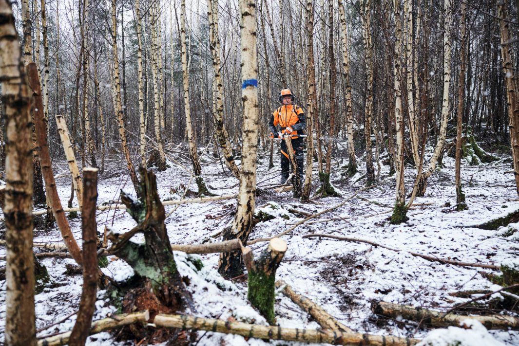 STIHL HTA 150 Cordless Pole Pruner (Unit Only)