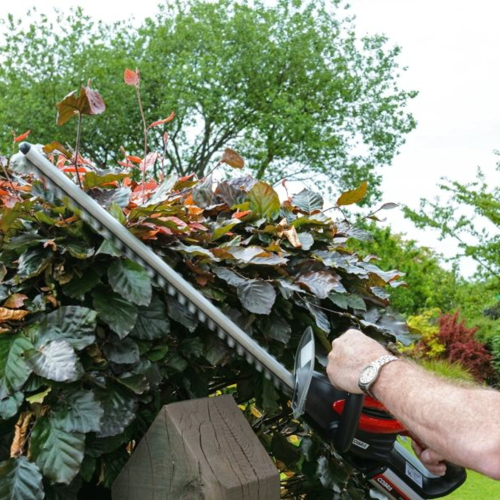 COBRA H5024V Li-Ion Cordless Hedge Trimmer (With 2Ah Battery & Charger)