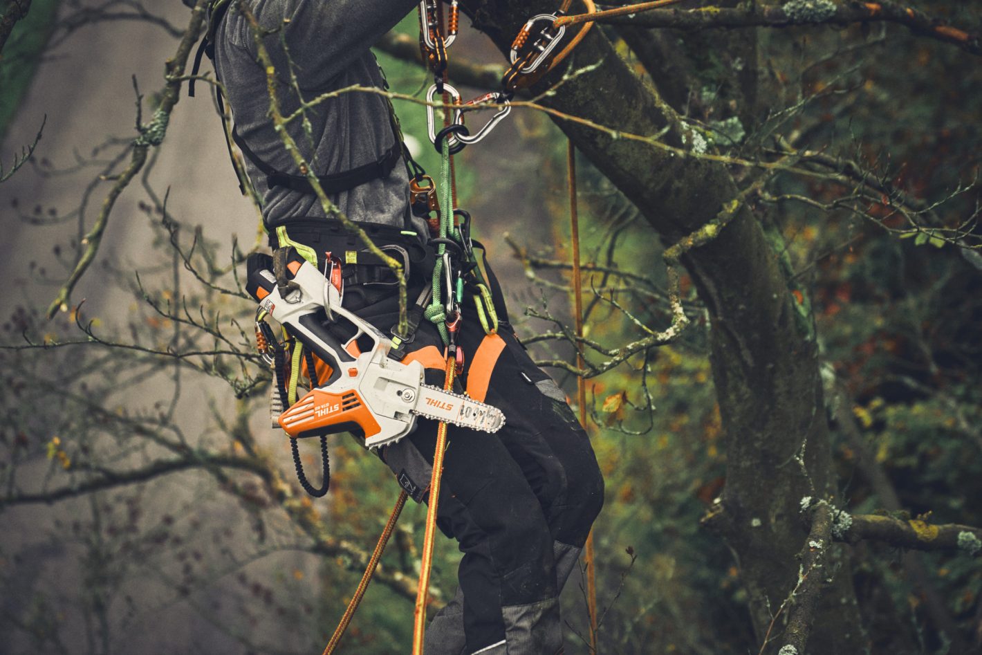 STIHL GTA 40 Cordless Pruner – AS System