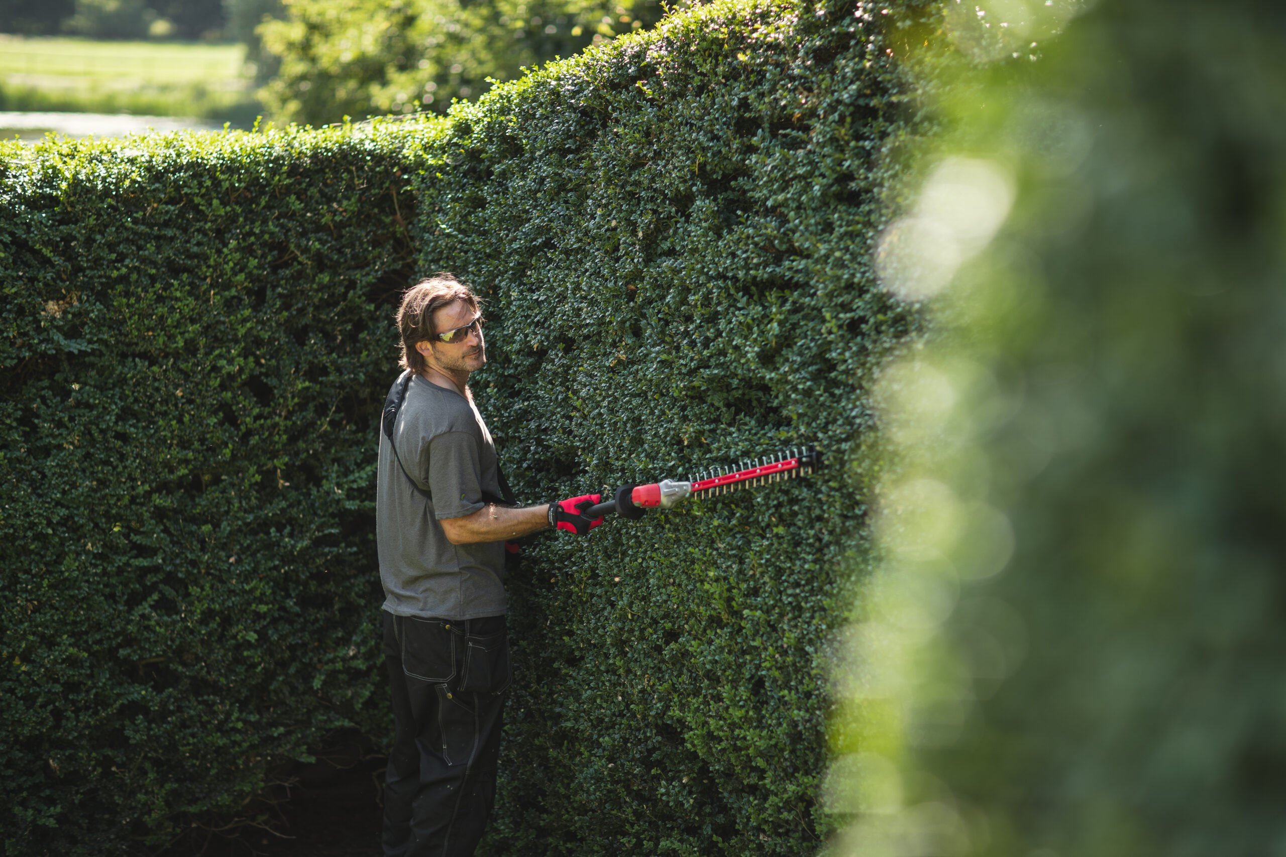 Cramer 82PHT32 Long-Reach Battery Hedge Trimmer