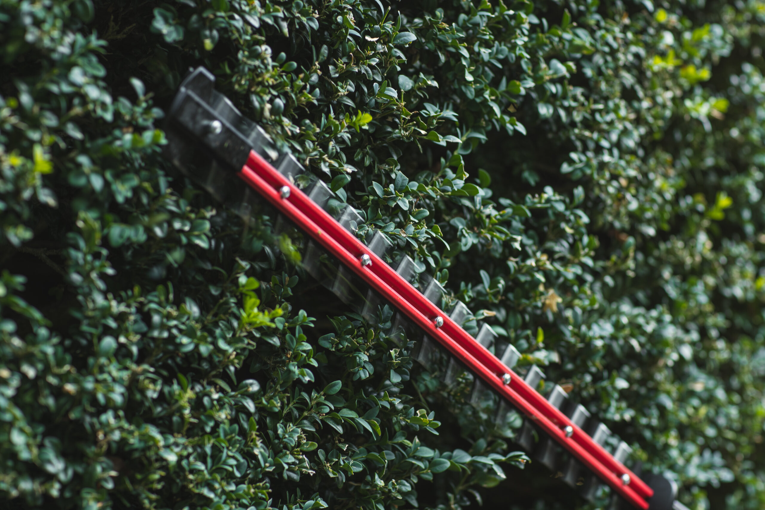 Cramer 82PHT32 Long-Reach Battery Hedge Trimmer