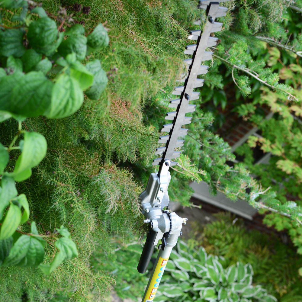 COBRA MT250C 4-in-1 Petrol Multi Tool System