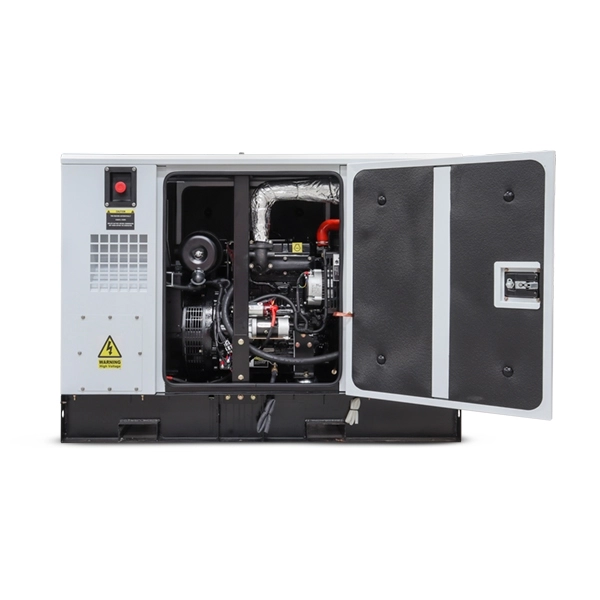 Hyundai 8.8kW/11kVA Single Phase Diesel Generator | DHY9KSEm